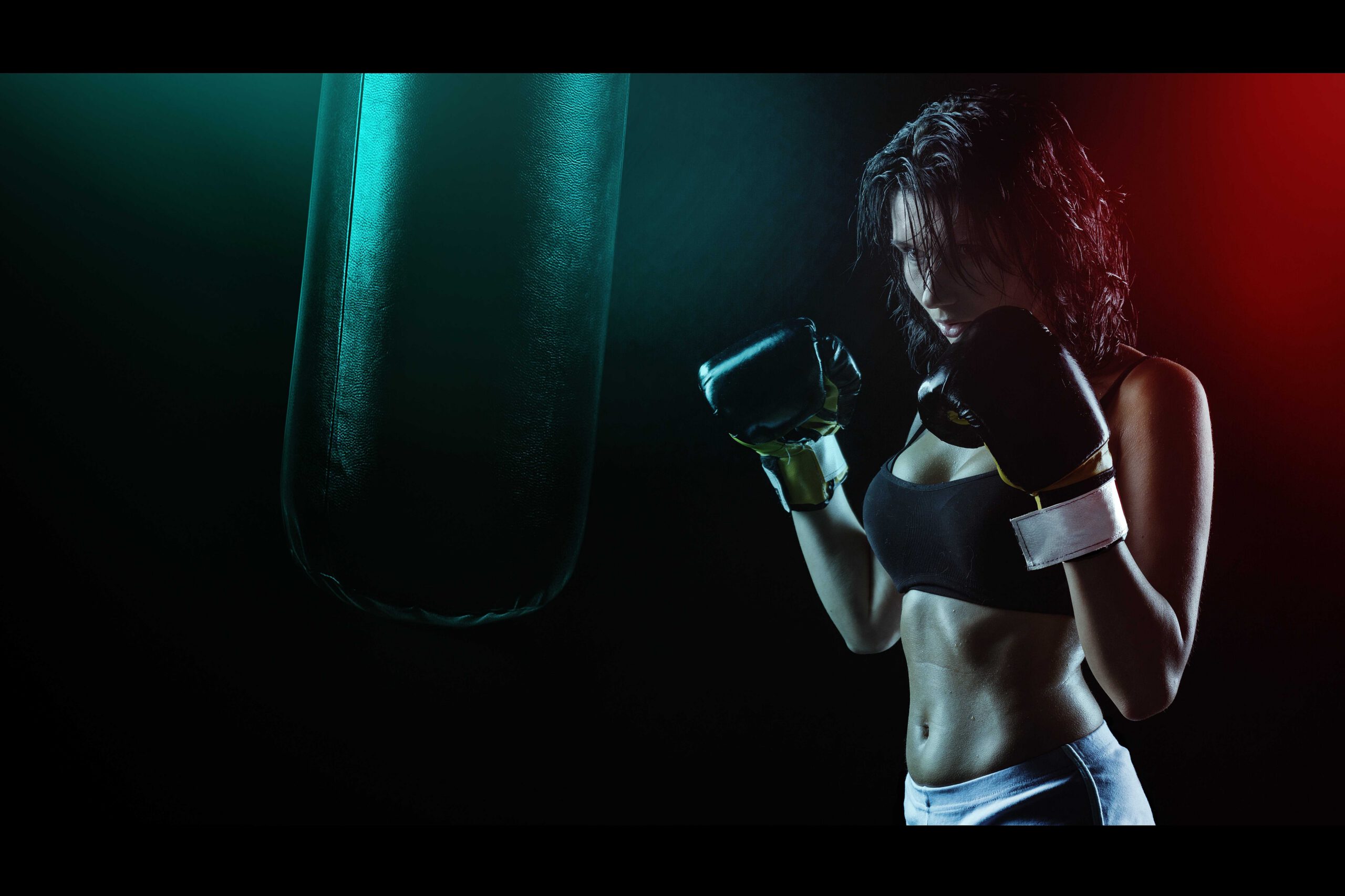 $100 punching bag